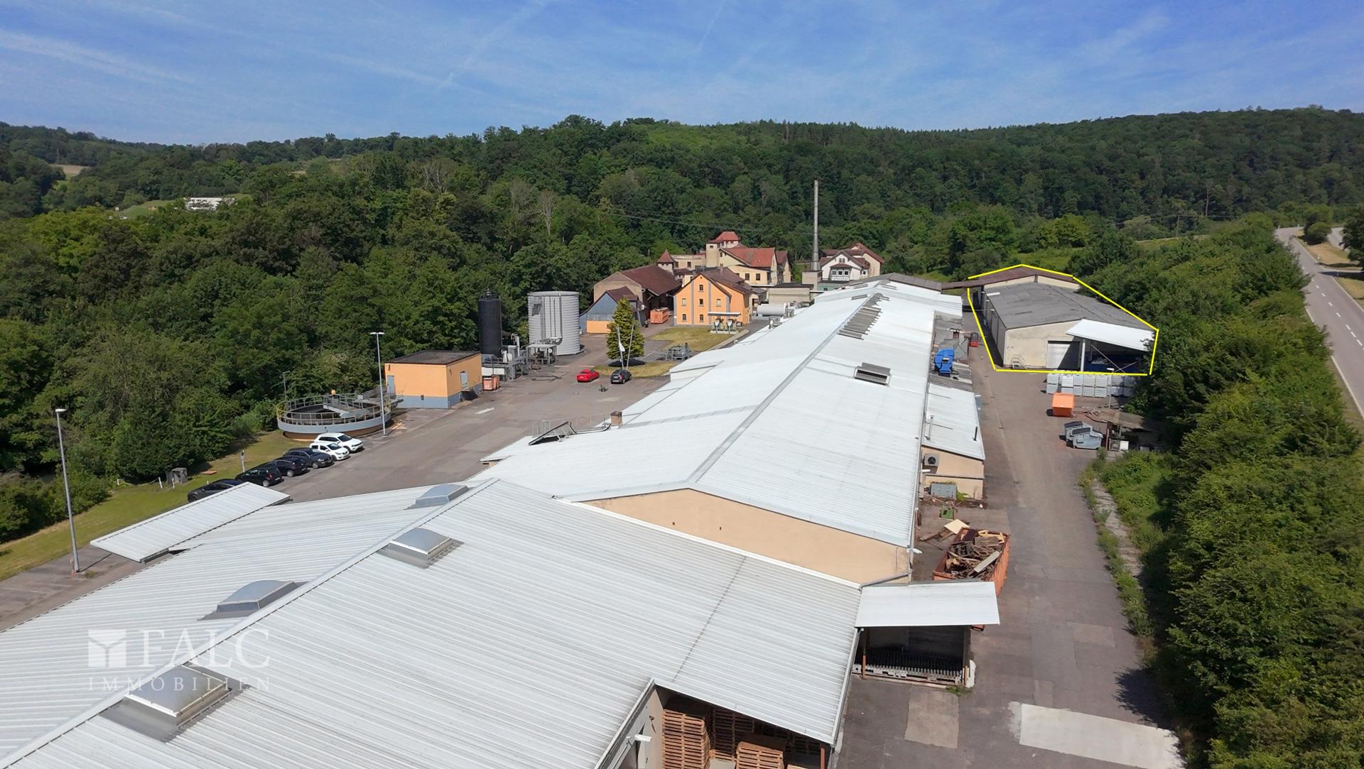 Zufahrt und Gelände