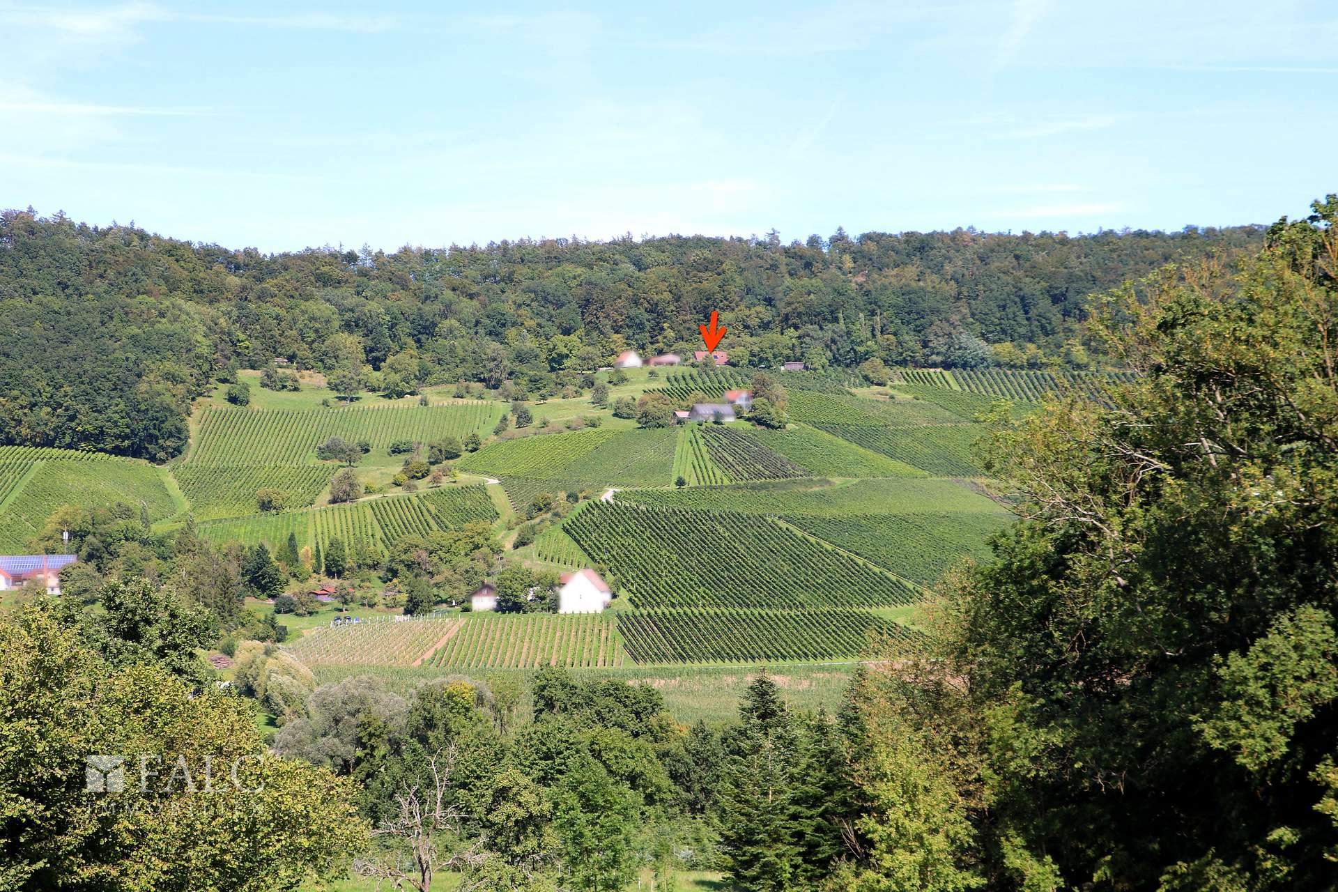 Mitten in den Weinbergen 
