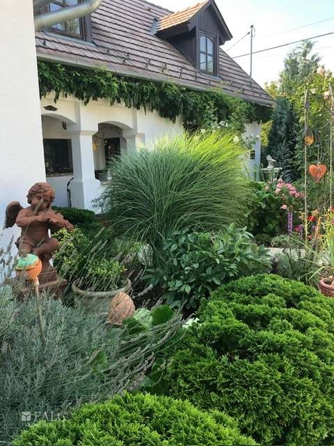 d3c9ba53-1871-4f88-9f29-c13fca13dae7