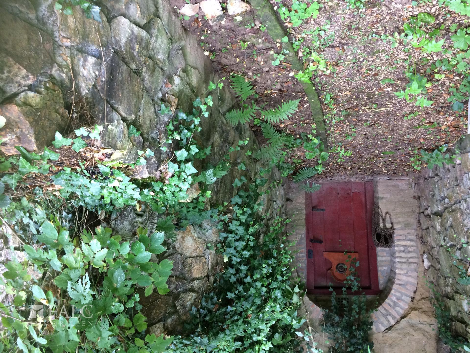 Wine cellar entrance (we the two winecellars)