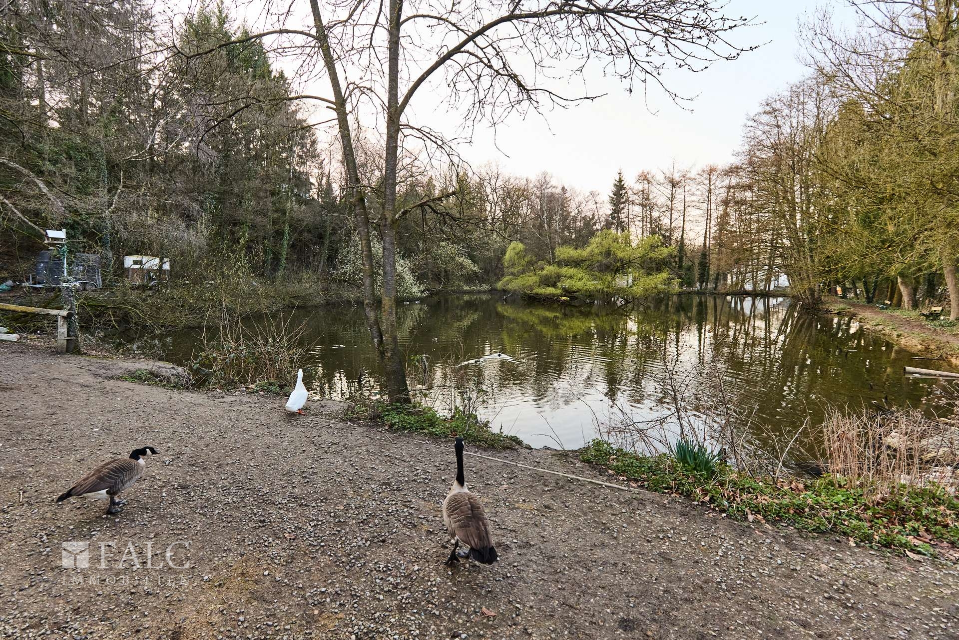 Genießen Sie den Sonnenuntergang