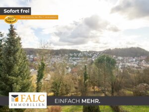 Über den Dächern von Linz am Rhein