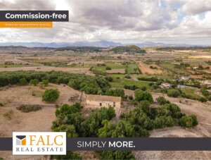 Pferdezucht? Weinanbau? Sanierungsbedürftige Finca mit großem Potenzial in Sineu!