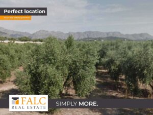 Zwischen Bergen und Meer – exklusives Baugrundstück im Norden Mallorcas