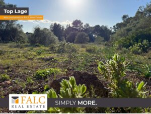 Großzügiges Grundstück in Algaida