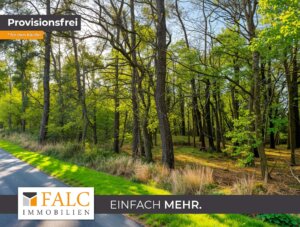 +++ Waldgrundstück 3 ha mit gutem Baumbestand in Ostseenähe +++