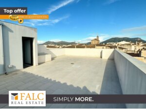 Modernes Wohngefühl mit Dachterrasse & Balkonen