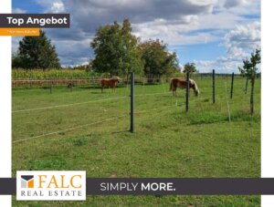 Renoviertes Bauernhaus mit Stallungen und großem Grundstück für Pferdehaltung