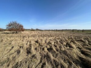 Dorfrandlage mit Südausrichtung